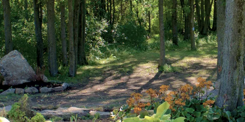 Image nature de la page Historique et mission