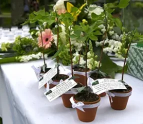 3-PTP-7381-preview-sm